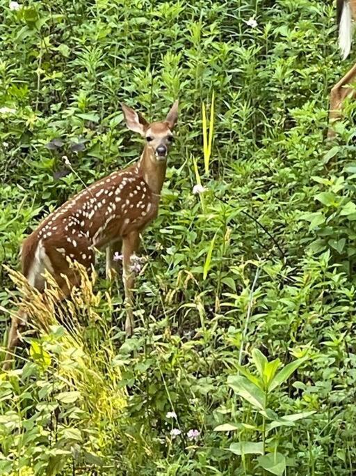 イースト・ストラウズバーグ Pocono Shawnee Mountain Townhouseヴィラ エクステリア 写真